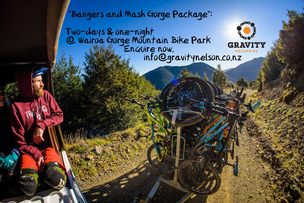 downhill mountain biking