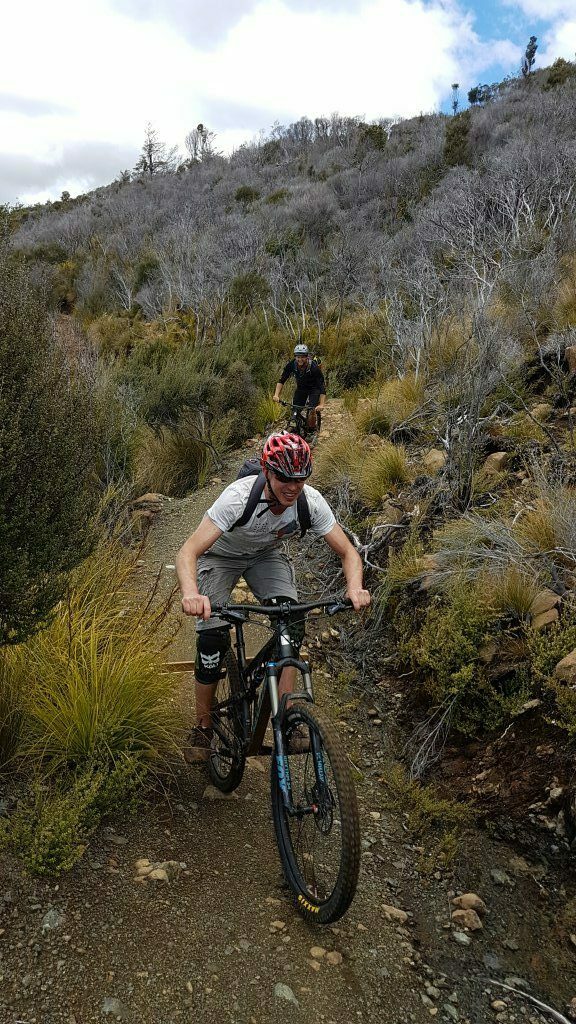 Guided mountain bike trails around Nelson