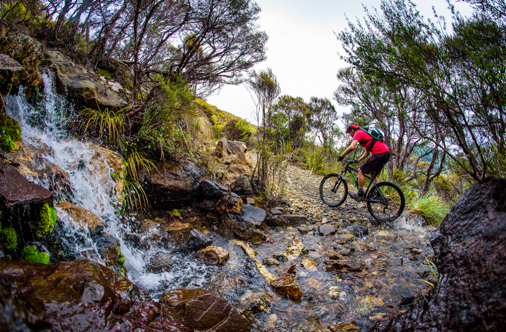 New Zealand's Ultimate Gravity Park - Mountain Bike Blog Post - Vital MTB