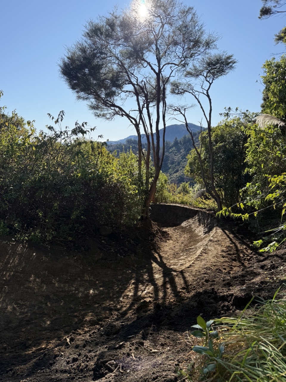 Large excavated bowl berm on flow trail
