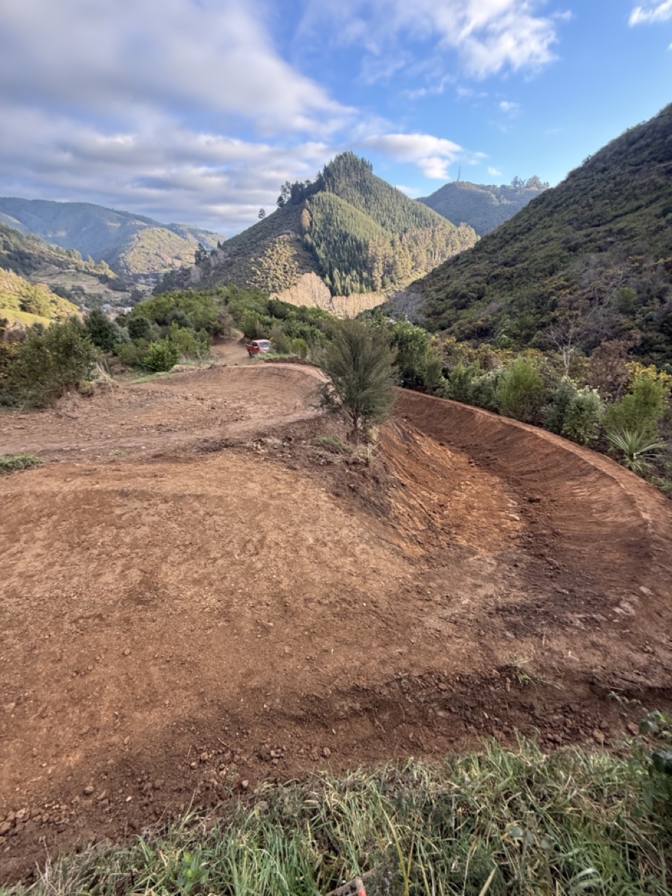 Wide clay berm with cabbage tree and valley backdrop