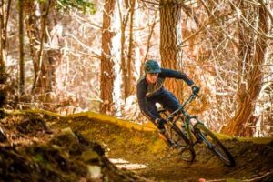 Mountain Biking in Pine Forests